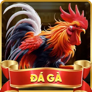 Quy tắc cá cược đá gà 88xx ios